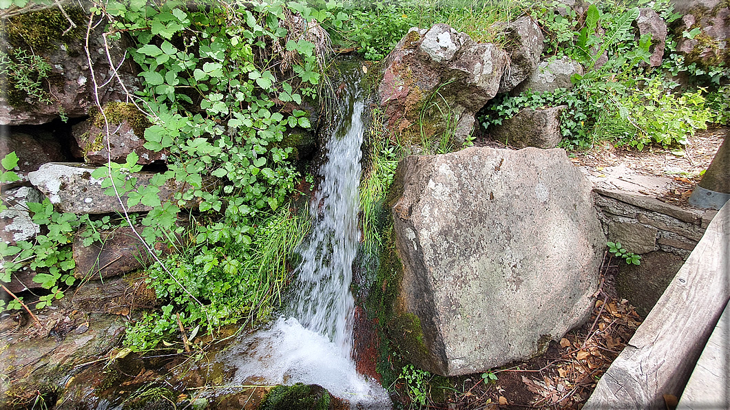 foto Lago di Lases